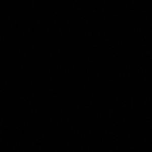 Meet your Posher, Tee tee